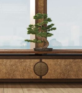 NF_Cabinet_Bolderwood